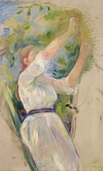 Mädchen sammelt Kirschen, 1891
